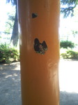 SBCA0042.JPG